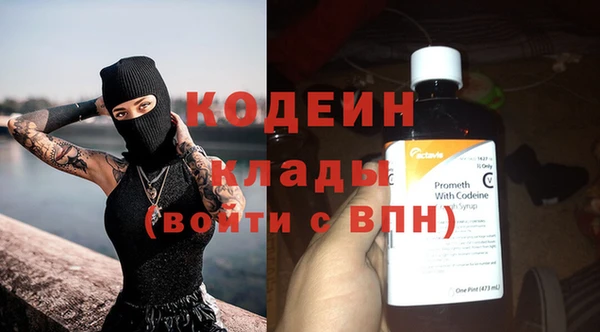 молекула духа Семилуки