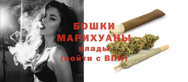 дживик Белокуриха