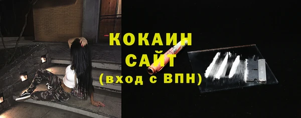 дживик Белокуриха