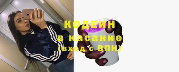 таблы Богородицк