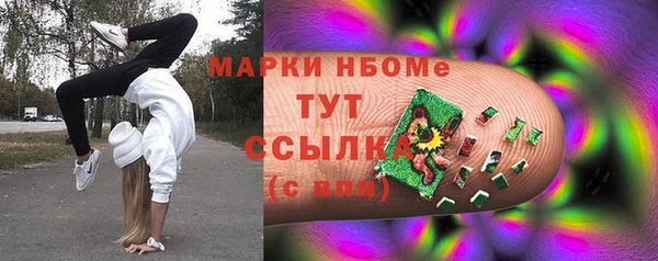 таблы Богородицк
