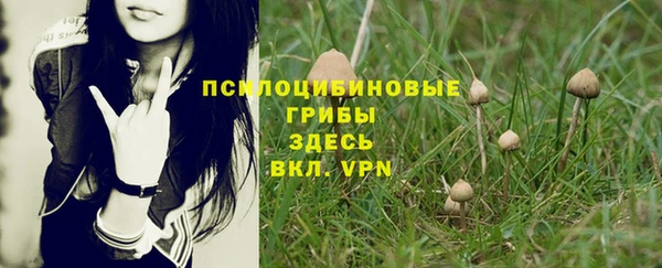 дживик Белокуриха
