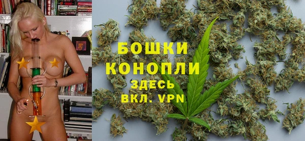 дживик Белокуриха