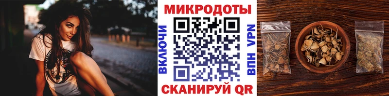 закладки  Кстово  Псилоцибиновые грибы мухоморы 
